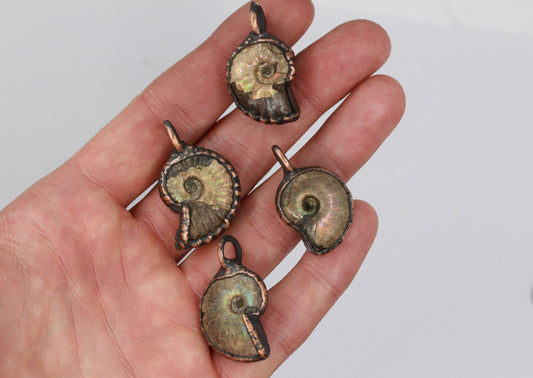 Small Ammonite Necklace