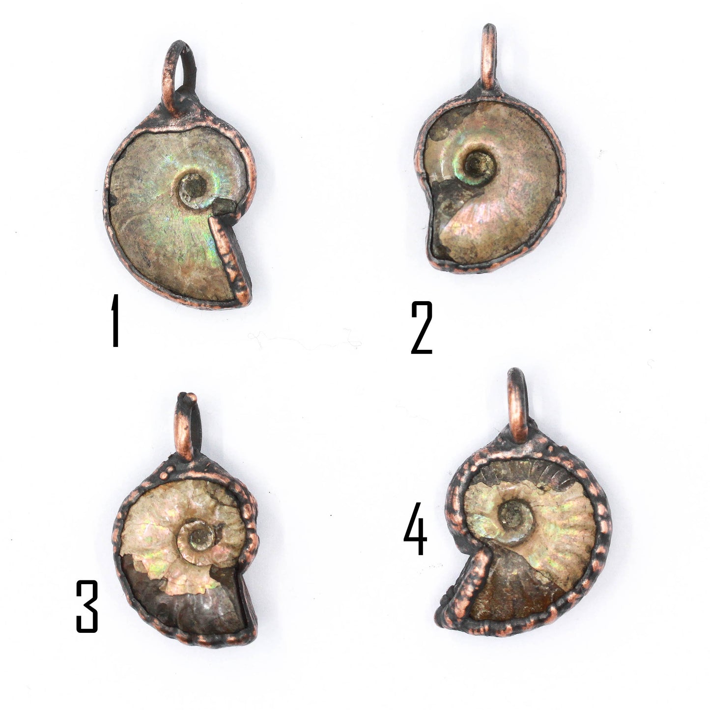 Small Ammonite Necklace