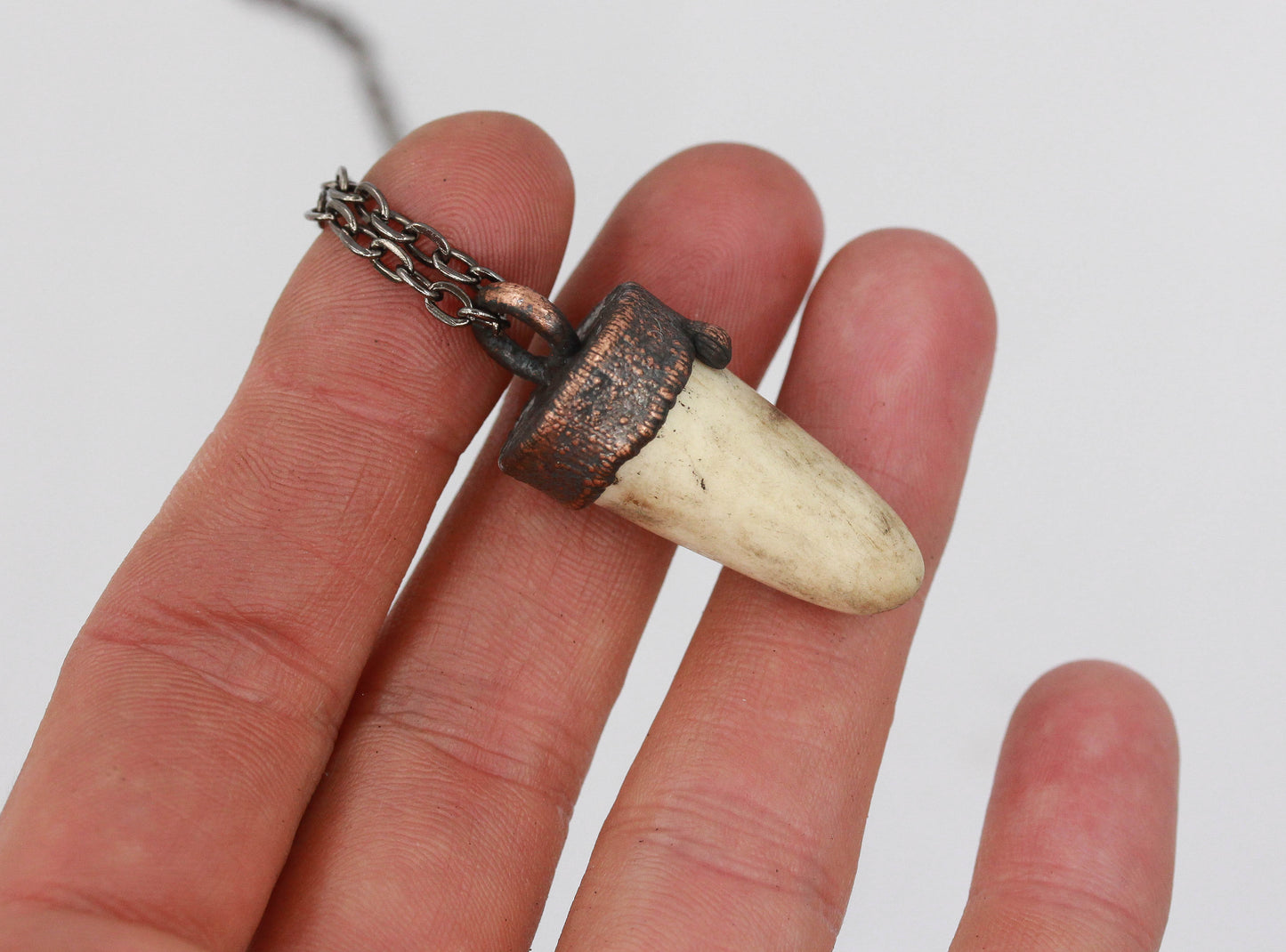 Small Deer Antler Tip Necklace