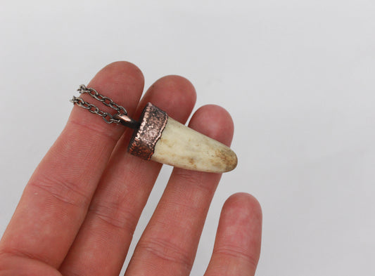 Small Deer Antler Tip Necklace