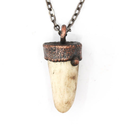 Small Deer Antler Tip Necklace