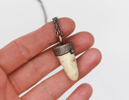 Small Deer Antler Tip Necklace