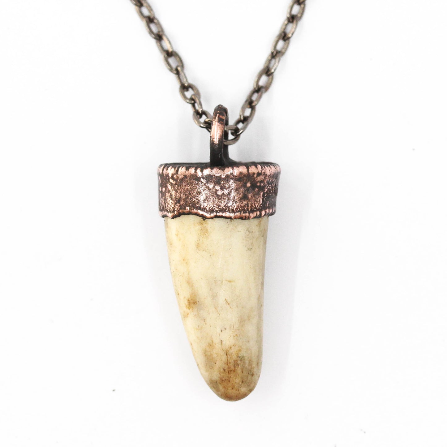 Small Deer Antler Tip Necklace