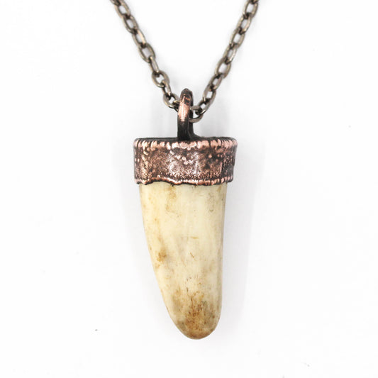 Small Deer Antler Tip Necklace