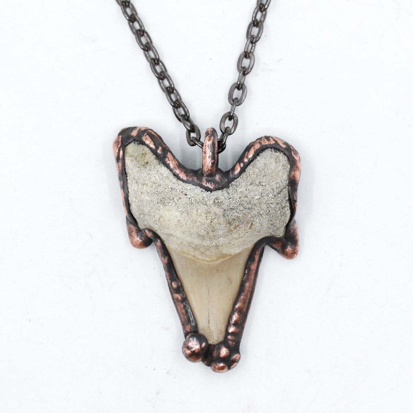 Fossil Shark Tooth Necklace