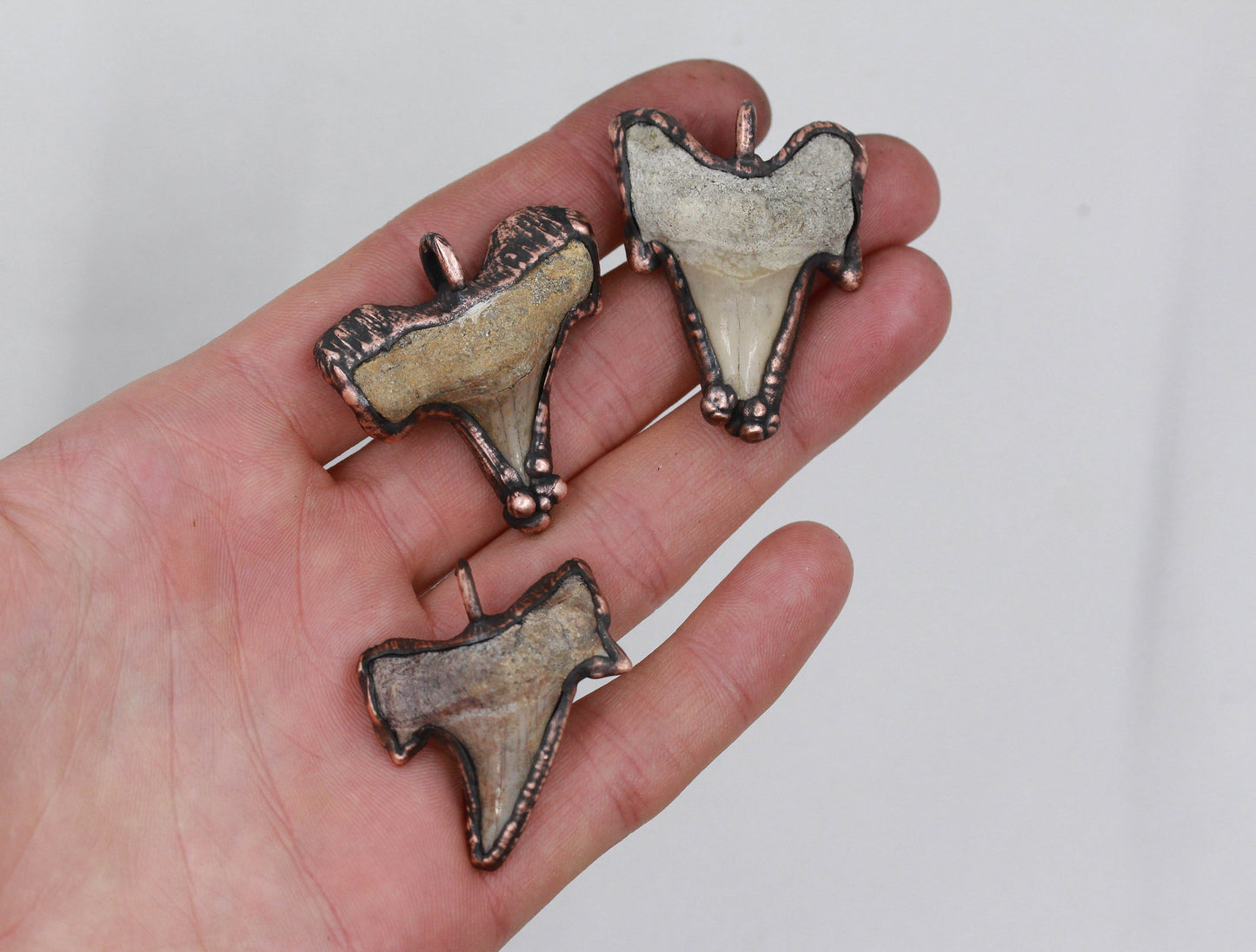 Fossil Shark Tooth Necklace